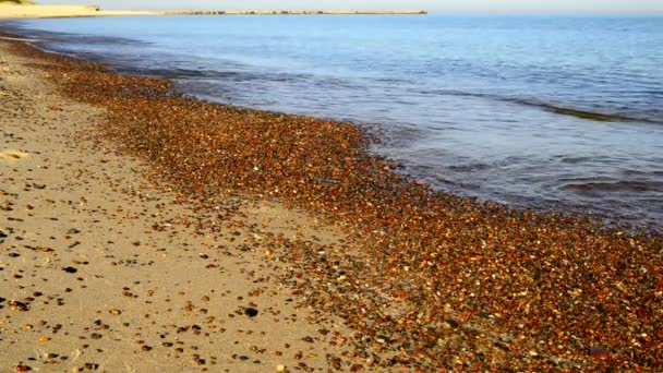 Surf Της Βαλτικής Θάλασσας Βότσαλα — Αρχείο Βίντεο