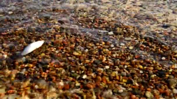 Surf Της Βαλτικής Θάλασσας Στην Πολωνία Κάμερα Στο Surf Υποβρύχια — Αρχείο Βίντεο