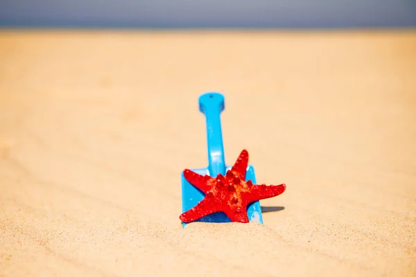 Speelgoed Shovel Met Ster Van Zee Een Zonnig Strand — Stockfoto