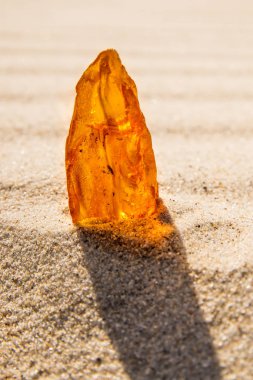 Kehribar Baltık sahilinde