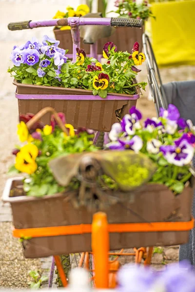 Fahrrad Mit Blumen Vor Einem Straßencafé — Stockfoto