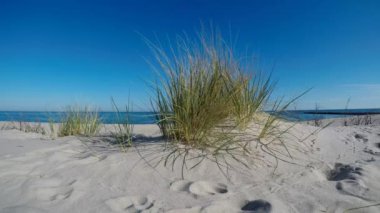 Plaj beach çim ile Baltık Denizi'nin