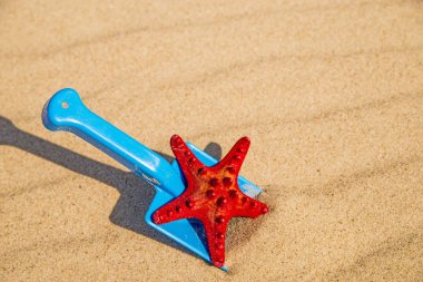 kürek ve deniz yıldızı ile plaj