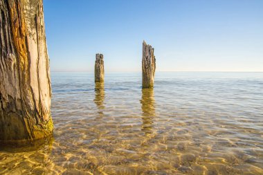 Eski köstebek ile Polonya'da Baltık denizi