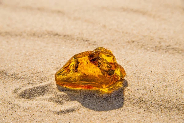 Amber Polonya Baltık Denizi'nin bir plajda güneşin altında