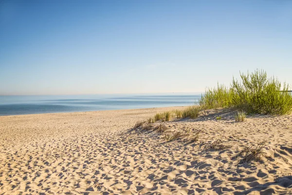 Пляж Балтийского Моря Пляжной Травой — стоковое фото