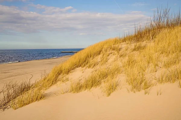 Spiaggia Del Mar Baltico Con Erba Spiaggia — Foto Stock