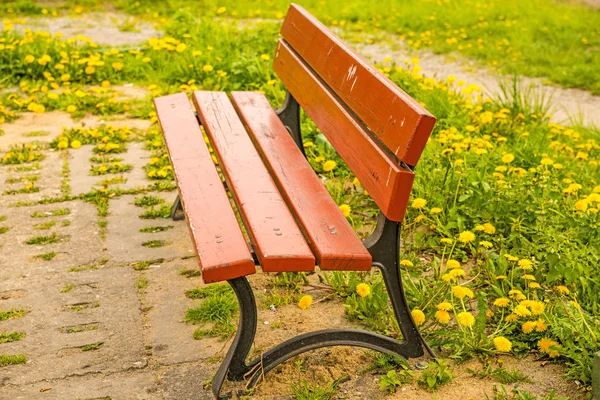 Park Bench Green — Stock Photo, Image