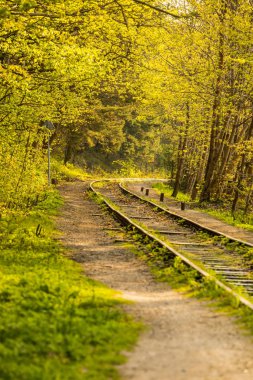 sipariş, yeşil çim büyümüş dışarı raylar