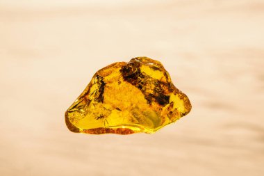 Amber Polonya Baltık Denizi'nin bir plajda güneşin altında