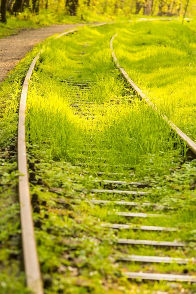 Rieles Fuera Orden Cubierto Hierba Verde — Foto de Stock