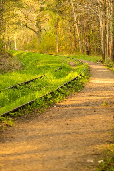 Rails Out Order Overgrown Green Grass — Stock Photo, Image