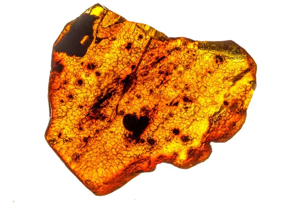 Amber Inclusions White Background — Stock Photo, Image