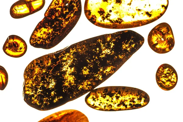 Amber Inclusions White Background — Stock Photo, Image