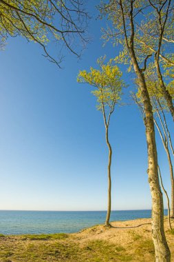Orzechowo, Polonya Baltık Denizi'nin Beach