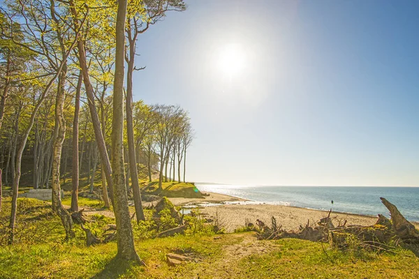 Orzechowo Polonya Baltık Denizi Nin Beach — Stok fotoğraf