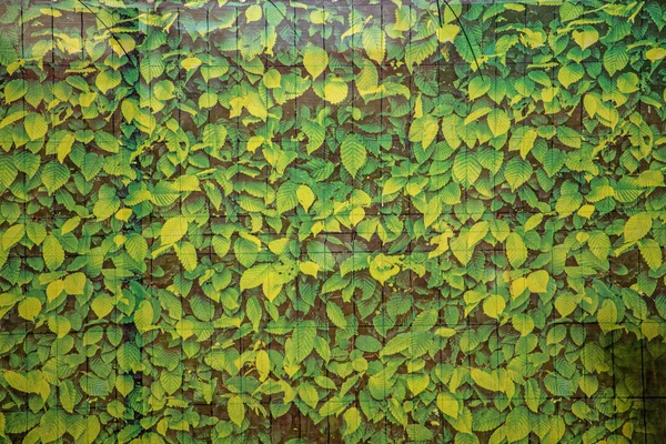 Netz Aus Grünen Blättern Zaun — Stockfoto