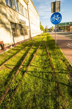 Demiryolu ile yeşil çim büyümüş