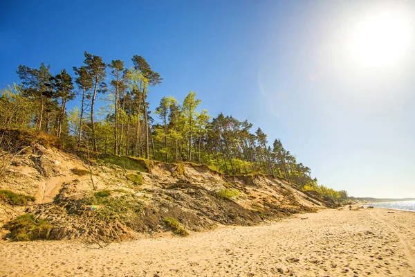 Çam ve tepeleri ile Polonya Baltık Denizi