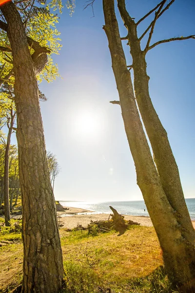 Orzechowo, Polonya Baltık Denizi'nin Beach