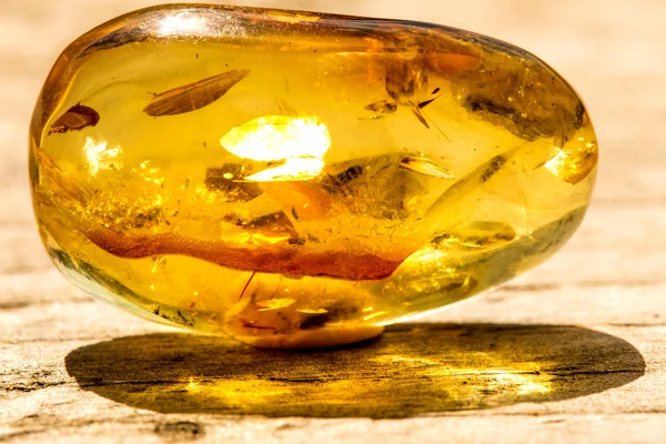 Amber Sun Inclusion — Stock Photo, Image