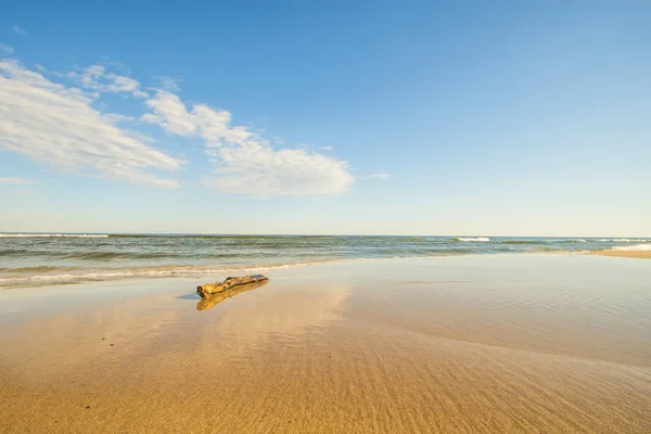 Madera Deriva Una Playa Del Mar Báltico — Foto de Stock