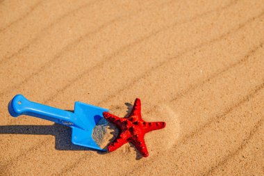 Çocuk oyuncak kürek ve Kızıl Deniz yıldızı ile plaj