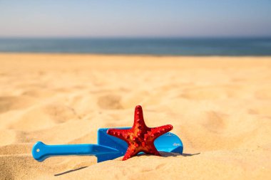 Çocuk oyuncak kürek ve Kızıl Deniz yıldızı ile plaj