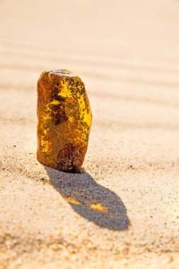 Amber Baltık Denizi'nin bir plajda güneşin altında