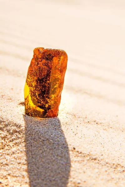 琥珀バルト海のビーチで太陽の下で — ストック写真