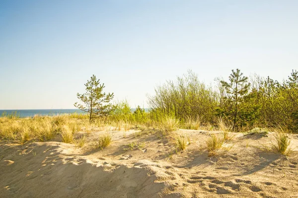 Μοναχική Παραλία Της Βαλτικής Θάλασσας Γαλάζιο Του Ουρανού Και Αμμοθίνες — Φωτογραφία Αρχείου