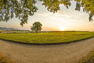 Yaz aylarında günbatımında ağacında Almanya ile