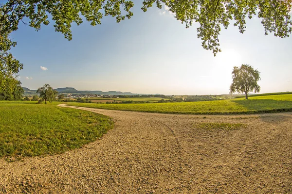 Krajobraz Sposób Łąka Drzewa Widok Niemiecki Wyżyny Szwabskiej — Zdjęcie stockowe