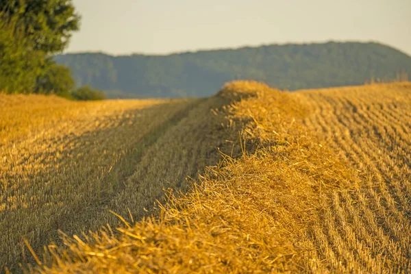 Stoppels Veld Met Stro Een Panoramisch Uitzicht Duitse Hooglanden Swabian — Stockfoto