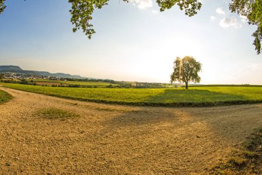 manzara yolu ile çayır, ağaç ve görüntüle Alman highlands Swabian Alb