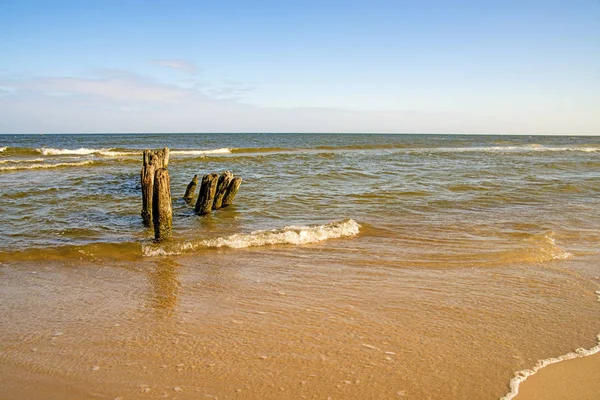Gamla Ljumsken Östersjön Polen — Stockfoto