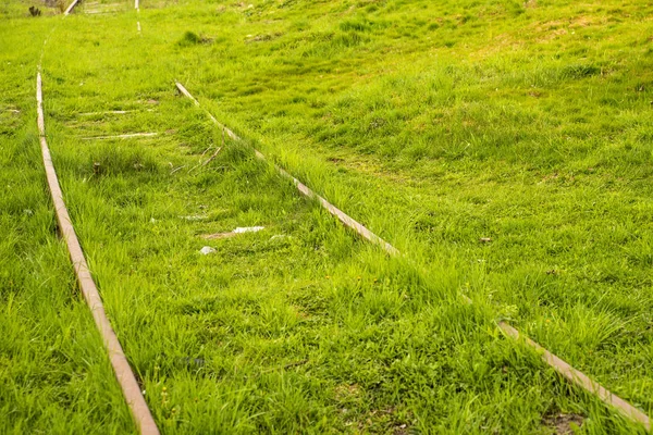 Ferrocarril Pista Cubierta Hierba Verde —  Fotos de Stock
