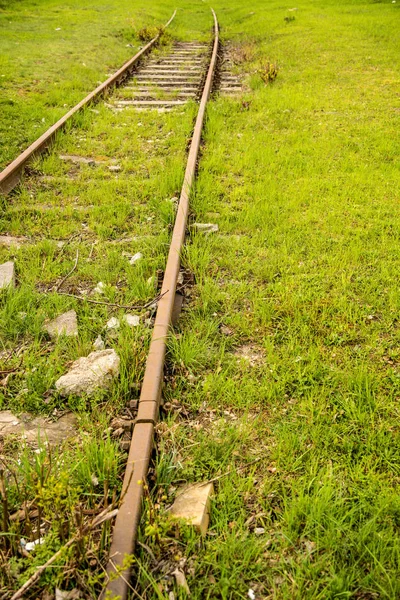 トラックの緑の草の生い茂った — ストック写真