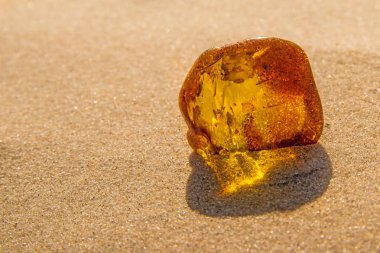Amber bir plajda güneşin altında 