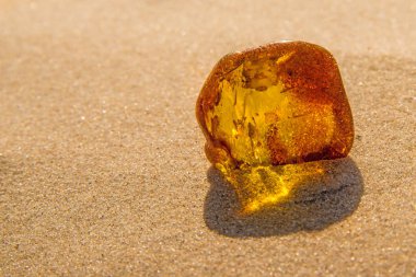 amber in sun on a beach  clipart