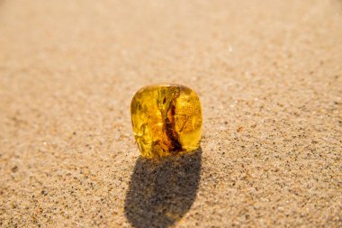 Amber Baltık Denizi'nin bir plajda