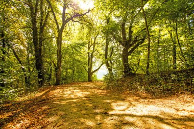 Tepenin Güney Almanya Hohenstaufen panoramik manzaralı