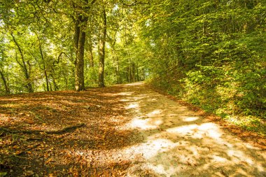 Tepenin Güney Almanya Hohenstaufen panoramik manzaralı