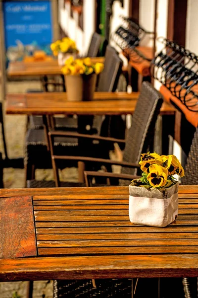 Café Calle Con Flores Escritorio — Foto de Stock