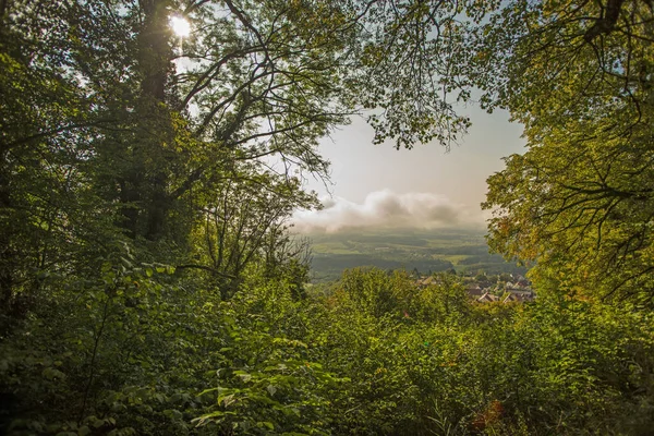 Blick Durch Ein Laubdach Auf Eine Landschaft Mit Dunklen Wolken — Stockfoto