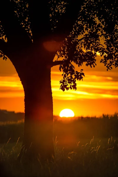 Blick Auf Den Hohenstaufischen Hügel Süden Deutschlands — Stockfoto