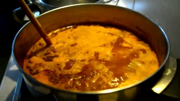 Revolviendo Una Sopa Goulash — Vídeo de stock