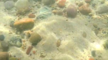 Sualtı dünyasını çakıl taşları ile Baltık Denizinde, kum ve güneş yenilgileri