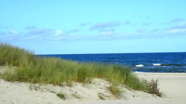 Strand Van Oostzee Met Strand Gras Wind — Stockvideo