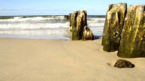 Leisten Der Ostsee Mit Wellenbrecher — Stockvideo